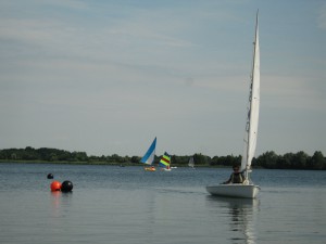 IMG 0077