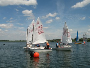 IMG 0222
